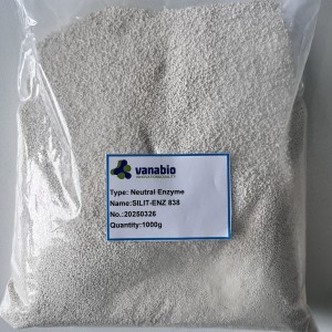 SILIT-ENZ-838  Enzyme Washing and Abrasion on d...